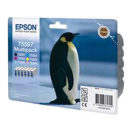 Epson Multipack 6-colours T5597