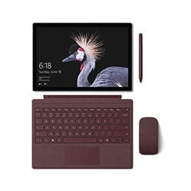Microsoft Surface Pro Set Bordeaux